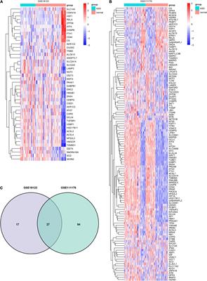 Development and Validation of a Novel Diagnostic Model for Childhood Autism Spectrum Disorder Based on Ferroptosis-Related Genes